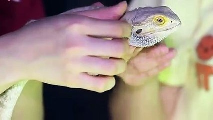 금천출장타이 O7Os7333s9649｛카톡VV23}ぱ금천출장안@마ぱ금천출장샵ぱ금천출장맛사지 ぱ금천출장걸썰 금천출장걸가격 금천출장러시아 금천외국인후불출장업소 금천24시출장마사지샵'예약ざしじ