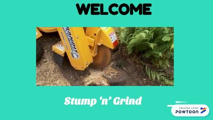 Get Best Services of Land Clearing Hamilton from Stump and Grind
