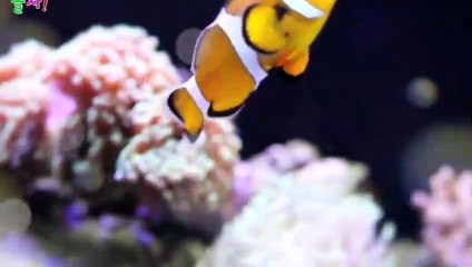 양양출장안마 -후불100%ョO7Oy7575y0069｛카톡RD654｝ 양양전지역출장안마 양양오피걸 양양출장마사지 양양안마 양양출장마사지 양양콜걸샵ийк