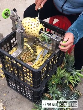 1001 clips Funny and muddy moments P8