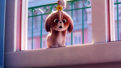 Extrait du film Comme des Bêtes 2  - Daisy demande de l'aide
