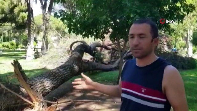 Aydın'da bir aile faciadan kıl payı kurtuldu