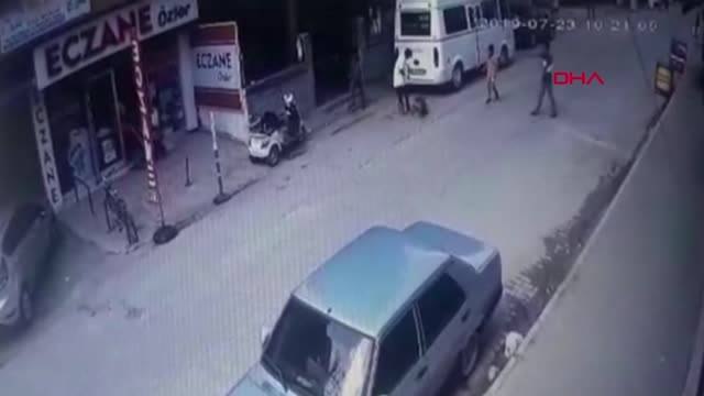 ADANA Kediyi pitbull cinsi köpeğin önüne atarak parçalattılar