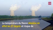 La centrale nucléaire de Golfech stoppée par la canicule