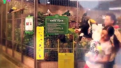 중랑출장타이O7OW7301W9649｛카톡ZF66｝ぱ중랑출장안@마ぱ중랑출장샵ぱ중랑출장맛사지 ぱ중랑출장걸썰 중랑출장걸가격 중랑출장러시아 중랑외국인후불출장업소 중랑24시출장마사지샵'예약ゲゴサ