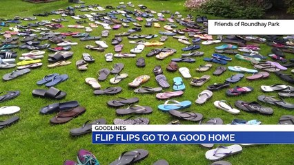 GOODLINES: 24th July 2019