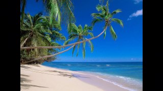 Fiji Beach