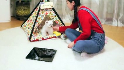 광명출장안마 -후불100%ョOiOs2671s8135｛카톡ZHF526｝ 광명전지역출장안마 광명오피걸 광명출장마사지 광명안마 광명출장마사지 광명콜걸샵∩⊂◈