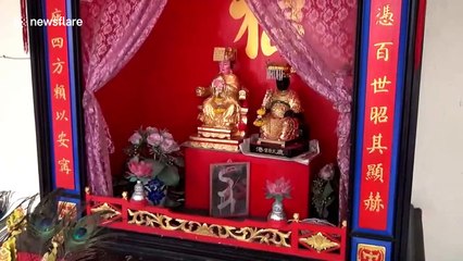 Elusive giant python finds shelter in spirit shrine at Chinese temple in Thailand