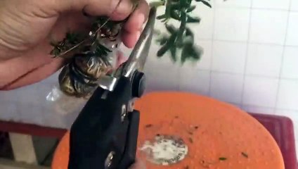 운서출장안마 -후불100%ョØ7ØA7575A0062｛카톡DK654｝ 운서전지역출장안마 운서오피걸 운서출장마사지 운서안마 운서출장마사지 운서콜걸샵‡♭