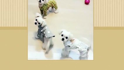 사상출장타이Ø7ØE7575E0048｛카톡XN94｝ぱ사상출장안@마ぱ사상출장샵ぱ사상출장맛사지 ぱ사상출장걸썰 사상출장걸가격 사상출장러시아 사상외국인후불출장업소 사상24시출장마사지샵'예약スズセ