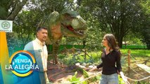 ¡Increíble exposición de dinosaurios! | Venga La Alegría