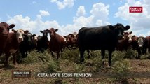 CETA : vote sous tension