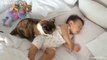 Cats Protecting Babies Videos Compilation 2019, Cat Loves Babies