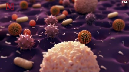 Sewage is Also Part of ‘Sun, Surf, and Sand’ at America’s Dirtiest Beaches: Study