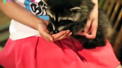 화순출장타이O7Os7301s9649｛카톡LA666｝ぱ화순출장안@마ぱ화순출장샵ぱ화순출장맛사지 ぱ화순출장걸썰 화순출장걸가격 화순출장러시아 화순외국인후불출장업소 화순24시출장마사지샵'예약√◎≪