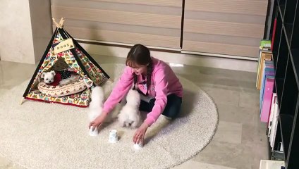 거창출장타이OiOe2997e5327｛카톡QR091｝ぱ거창출장안@마ぱ거창출장샵ぱ거창출장맛사지 ぱ거창출장걸썰 거창출장걸가격 거창출장러시아 거창외국인후불출장업소 거창24시출장마사지샵'예약ЪЫЬ