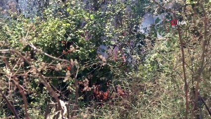 Antalya'da çıkan yangında 20 dönüm zarar gördü