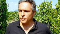 DNA - Frédéric Schwaerzler, conseiller viticole à la chambre d’agriculture d’Alsace, fait le point sur l'état d'avancement des vignes en Alsace