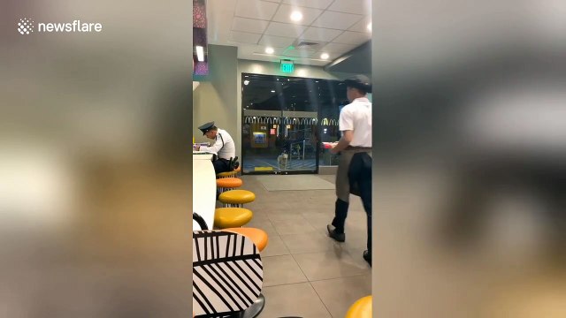 McDonald's employee takes chicken nuggets and chips to hungry stray dog