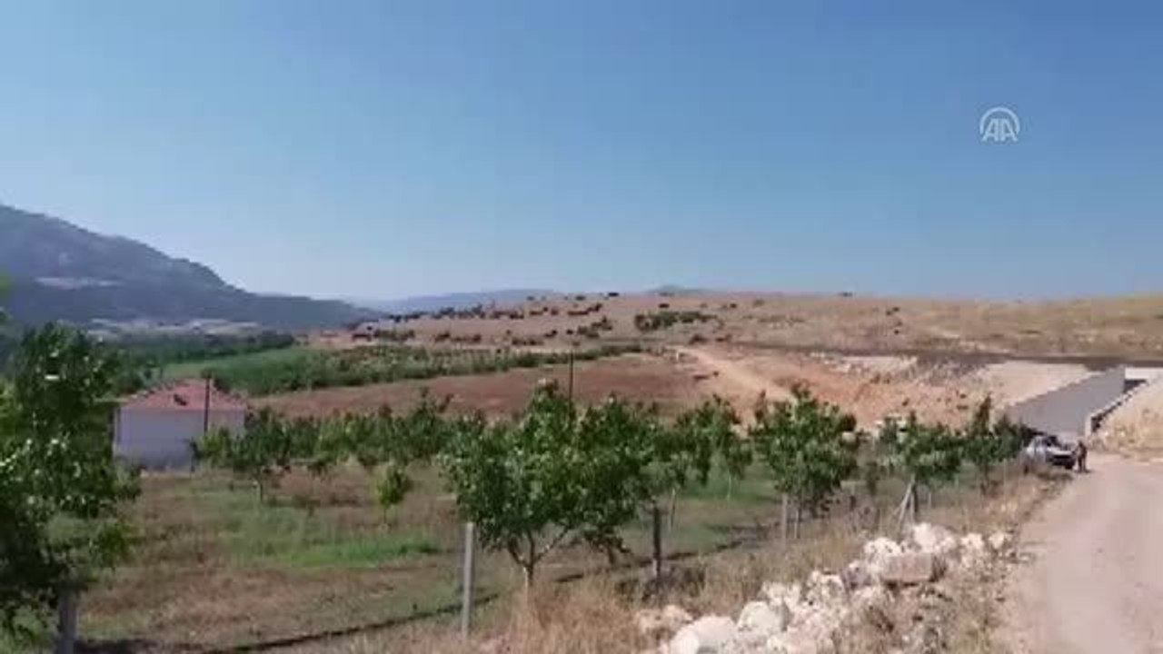 Dinar'da köylülerin "kum ocağı" tepkisi