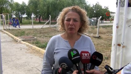 Yavru Kızıl Geyik Tedavi Altına Alındı