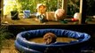 Hoot tub! UK owl cools off in kids pool