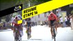 Résumé - Étape 16 - Tour de France 2019