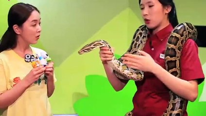 홍천출장타이 OiOc7362c3210｛카톡VR91｝ぱ홍천출장안@마ぱ홍천출장샵ぱ홍천출장맛사지 ぱ홍천출장걸썰 홍천출장걸가격 홍천출장러시아 홍천외국인후불출장업소 홍천24시출장마사지샵'예약♀￥≒