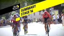 Summary - Stage 16 - Tour de France 2019