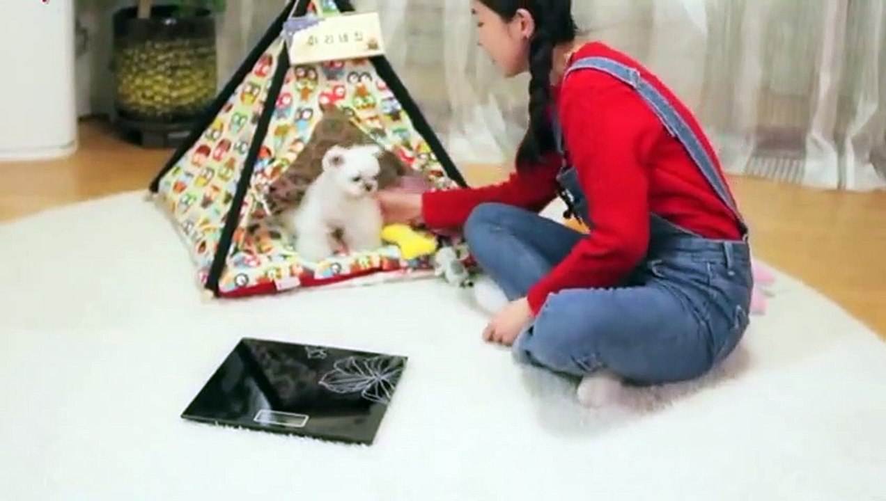 서울출장안마 -후불100%ョO7Os7333s9649｛카톡VV23} 서울전지역출장안마 서울오피걸 서울출장마사지 서울안마 서울출장마사지 서울콜걸샵ヨラリ