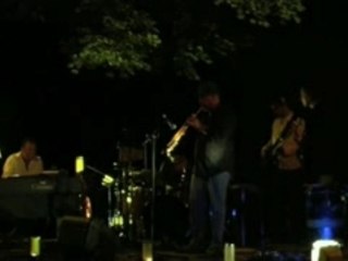 Don Billiez& Natural elements  festival 2006