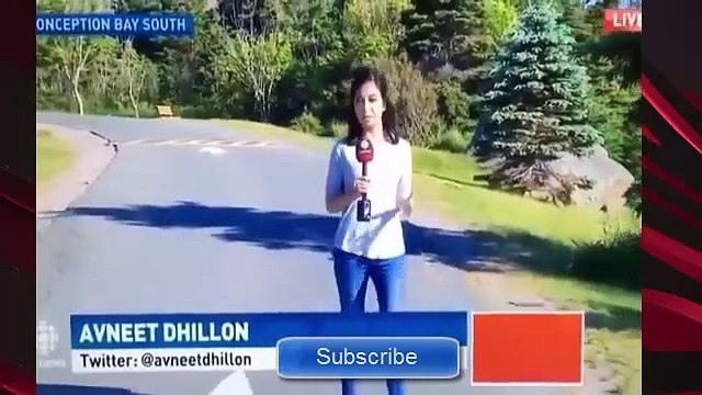 Most Embarrassing Moments Caught on Camera _ most embarrassing moments