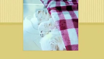 논산출장타이OiOc7685c6221｛카톡PP888｝ぱ논산출장안@마ぱ논산출장샵ぱ논산출장맛사지 ぱ논산출장걸썰 논산출장걸가격 논산출장러시아 논산외국인후불출장업소 논산24시출장마사지샵'예약ゆょら