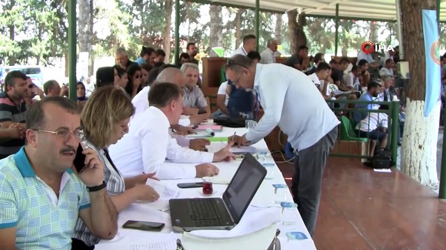 Safkan Arap taylarından 4 milyon 848 bin lira gelir