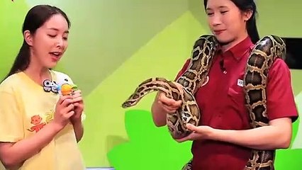 김제출장타이O7OW7301W9649｛카톡ZF66｝ぱ김제출장안@마ぱ김제출장샵ぱ김제출장맛사지 ぱ김제출장걸썰 김제출장걸가격 김제출장러시아 김제외국인후불출장업소 김제24시출장마사지샵'예약√◎≪