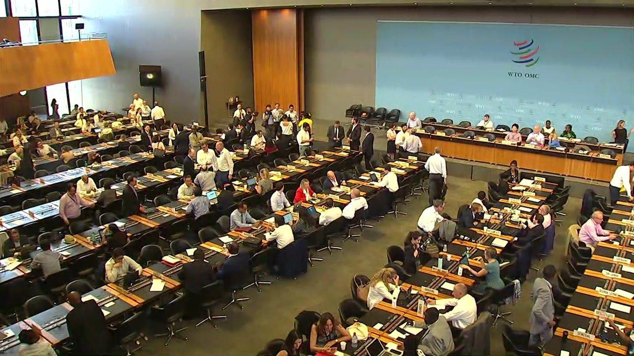 WTO 이사회 '日 수출 논의' 순연...오늘 논의 / YTN
