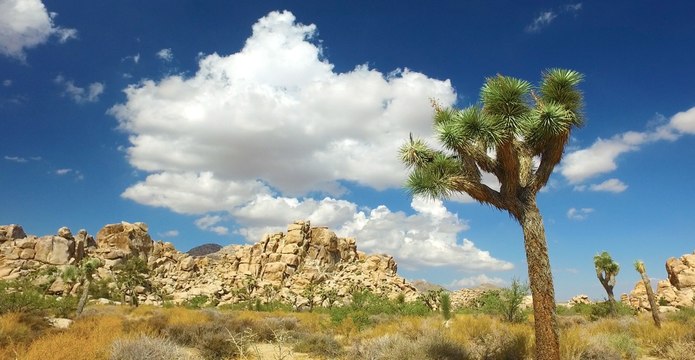 Roadfood Adventures USA: Las Vegas, Nevada to Palm Springs, California