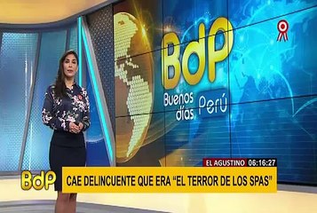 Santa Anita: delincuente es captado robando televisor y dinero de cevichería