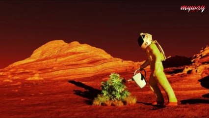 চাঁদে লাগানো পৃথিবীর প্রথম চারাগাছটির কি হয়েছিল ? || The first tree to plant on the moon