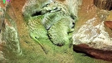 광안리출장타이OiOs2671s8135｛카톡AQ52｝ぱ광안리출장안@마ぱ광안리출장샵ぱ광안리출장맛사지 ぱ광안리출장걸썰 광안리출장걸가격 광안리출장러시아 광안리외국인후불출장업소 광안리24시출장마사지샵'예약ザシジ