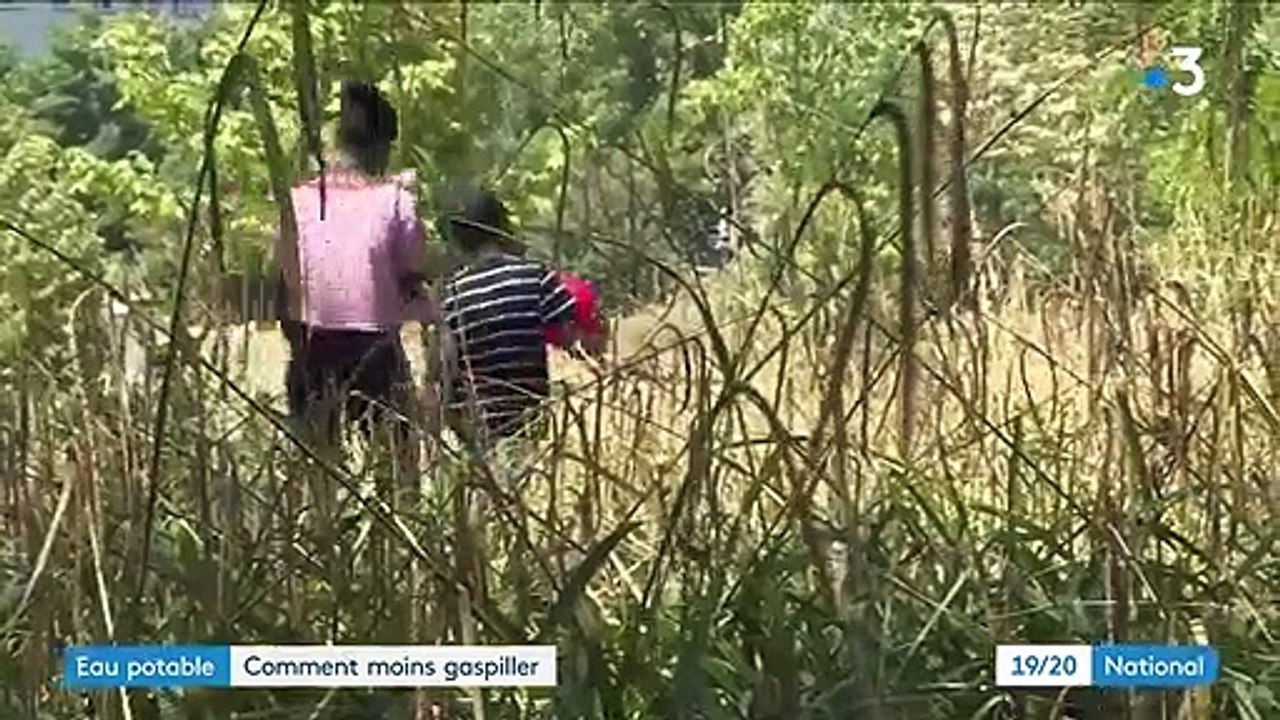 Eau potable : comment préserver les ressources menacées par la chaleur ?