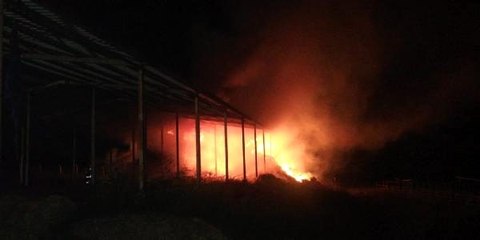 Çiftlik yangınında 2 bin balya saman kül oldu