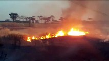 Grande área de vegetação nas proximidades da BR-277 é atingida por incêndio