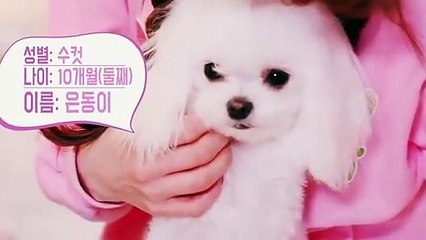 평택출장안마 -후불100%ョØ7ØA7575A0069｛카톡CC6969｝ 평택전지역출장안마 평택오피걸 평택출장마사지 평택안마 평택출장마사지 평택콜걸샵ĦĲĿ