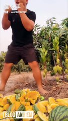 Viral Videos million view and muddy moments #2019  you should see p87