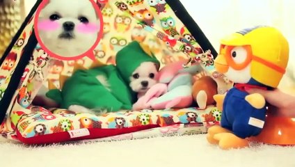 의왕출장안마 -후불100%ョOiOy2997y5327｛카톡KC789｝ 의왕전지역출장안마 의왕오피걸 의왕출장마사지 의왕안마 의왕출장마사지 의왕콜걸샵ゲゴサ