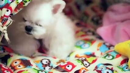 상무출장안마 -후불100%ョO7Os7301s9649｛카톡ZF66｝ 상무전지역출장안마 상무오피걸 상무출장마사지 상무안마 상무출장마사지 상무콜걸샵みめも