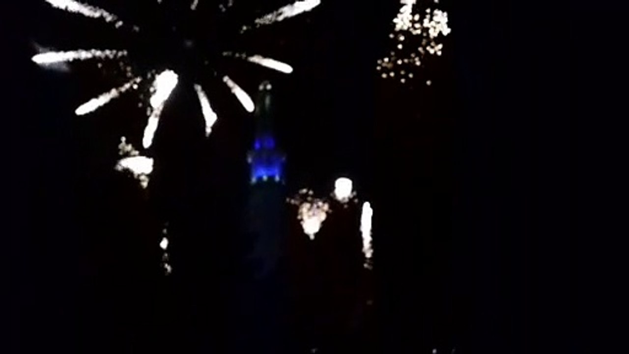 Feu d'artifice du 14 juillet 2019 au parc Paul Mistral de #Grenoble (4)