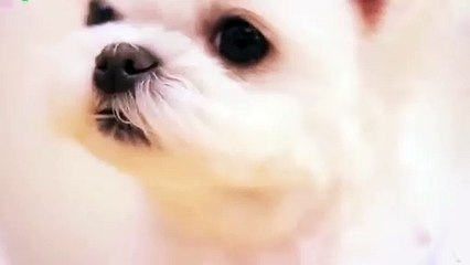 중구출장타이 070c7575c0040｛카톡EM85｝ぱ중구출장안@마ぱ중구출장샵ぱ중구출장맛사지 ぱ중구출장걸썰 중구출장걸가격 중구출장러시아 중구외국인후불출장업소 중구24시출장마사지샵'예약⊙◈